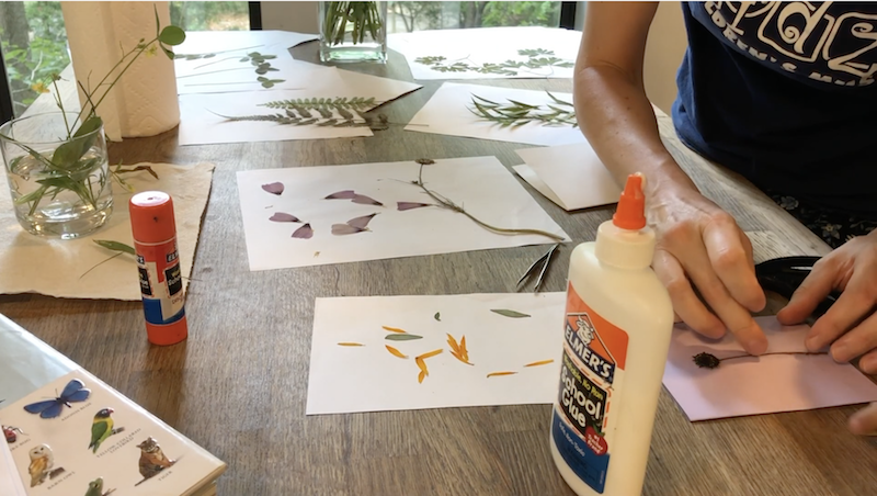 Pressing Flowers