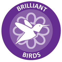 brilliant birds_up