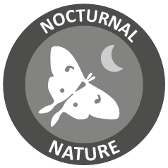 nocturnal nature_up