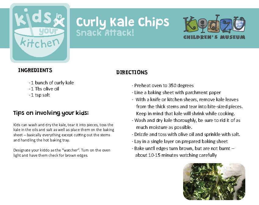 CurlyKale Chips