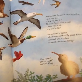 All the birds in the world book