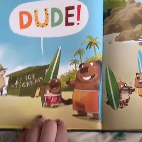 Dude book