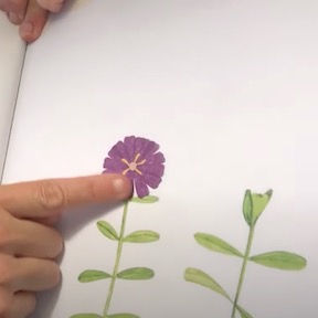 Plant the tiny seed book