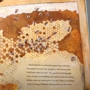 The honeybee man book